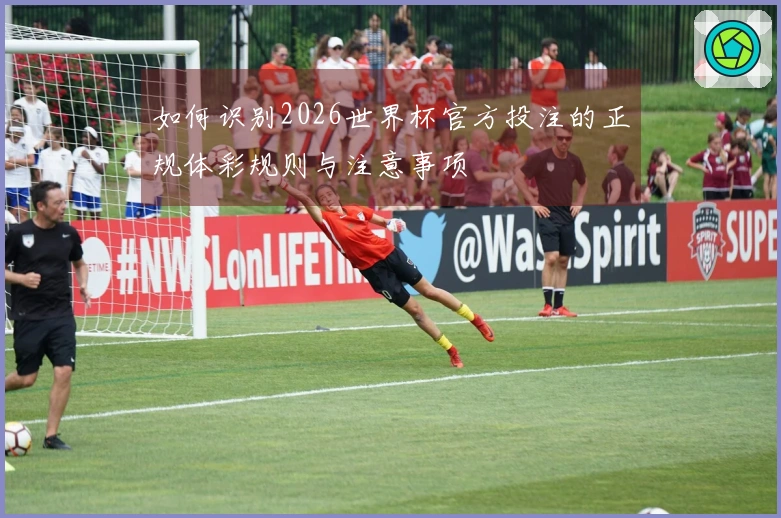 如何识别2026世界杯官方投注的正规体彩规则与注意事项