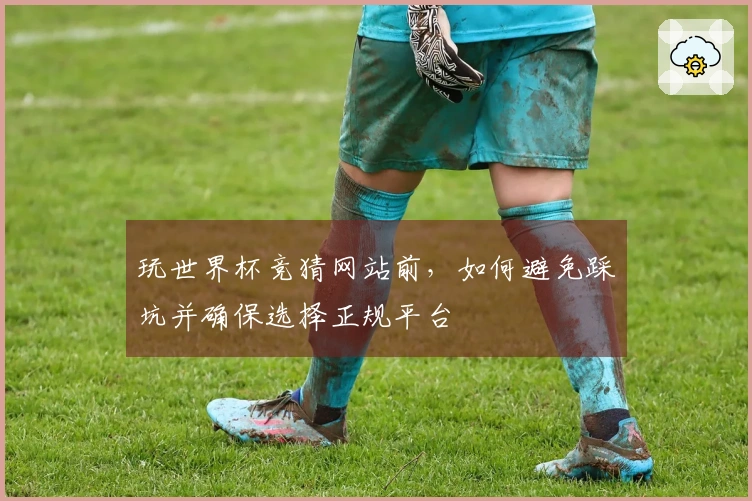 玩世界杯竞猜网站前，如何避免踩坑并确保选择正规平台