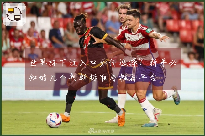 世界杯下注入口如何选择？新手必知的几个判断标准与推荐平台