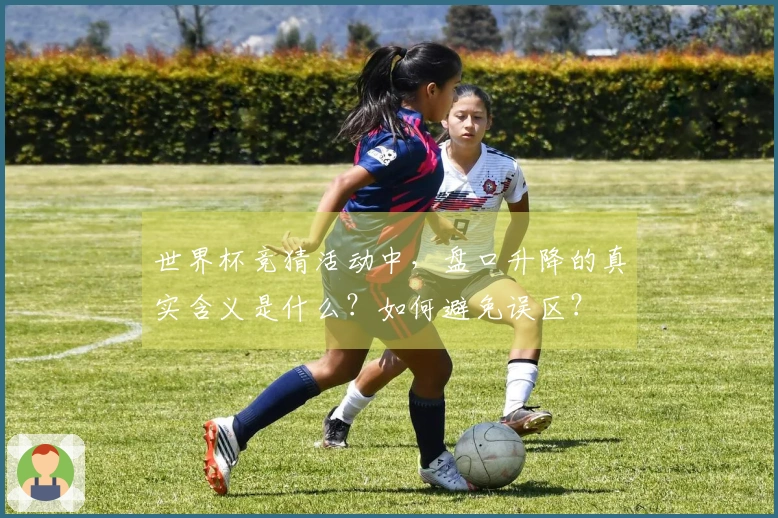 世界杯竞猜活动中，盘口升降的真实含义是什么？如何避免误区？
