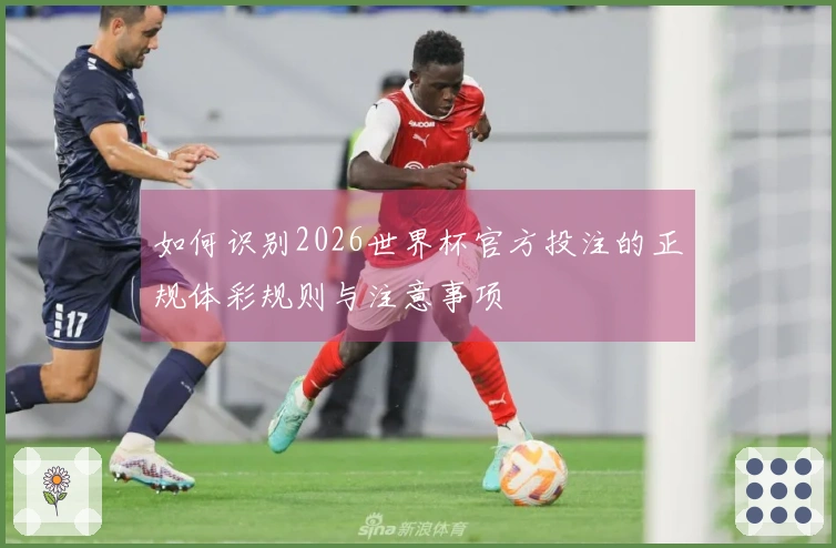 如何识别2026世界杯官方投注的正规体彩规则与注意事项